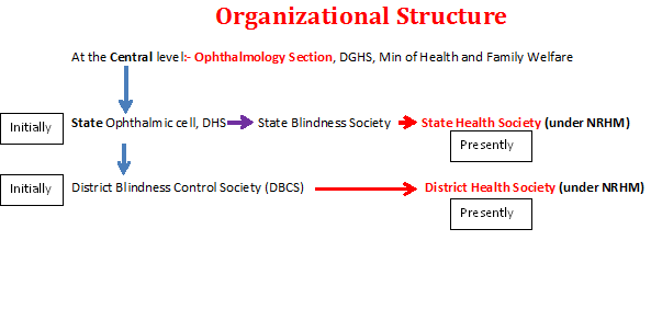 NCB org chart
