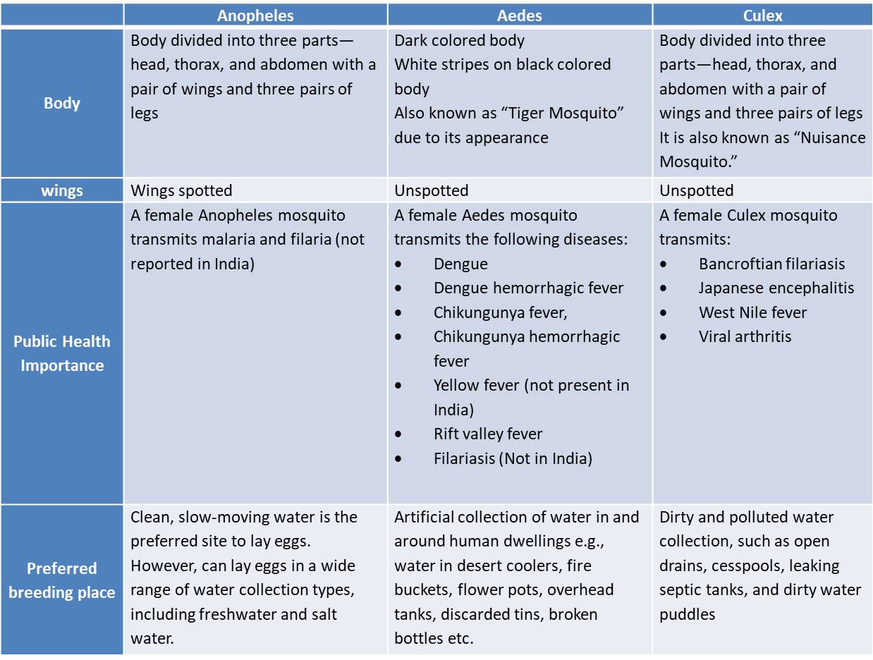 identification of adult mosquito