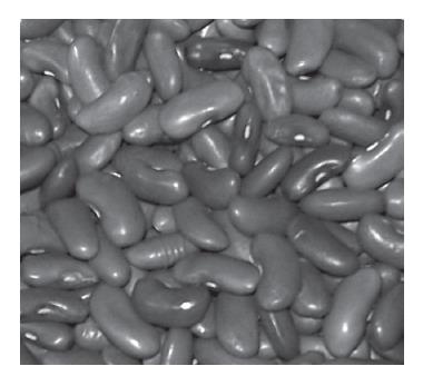 Rajma nutrition