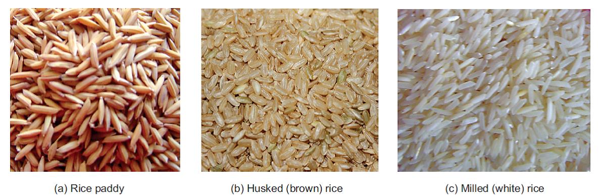 Stages in Milling of Rice