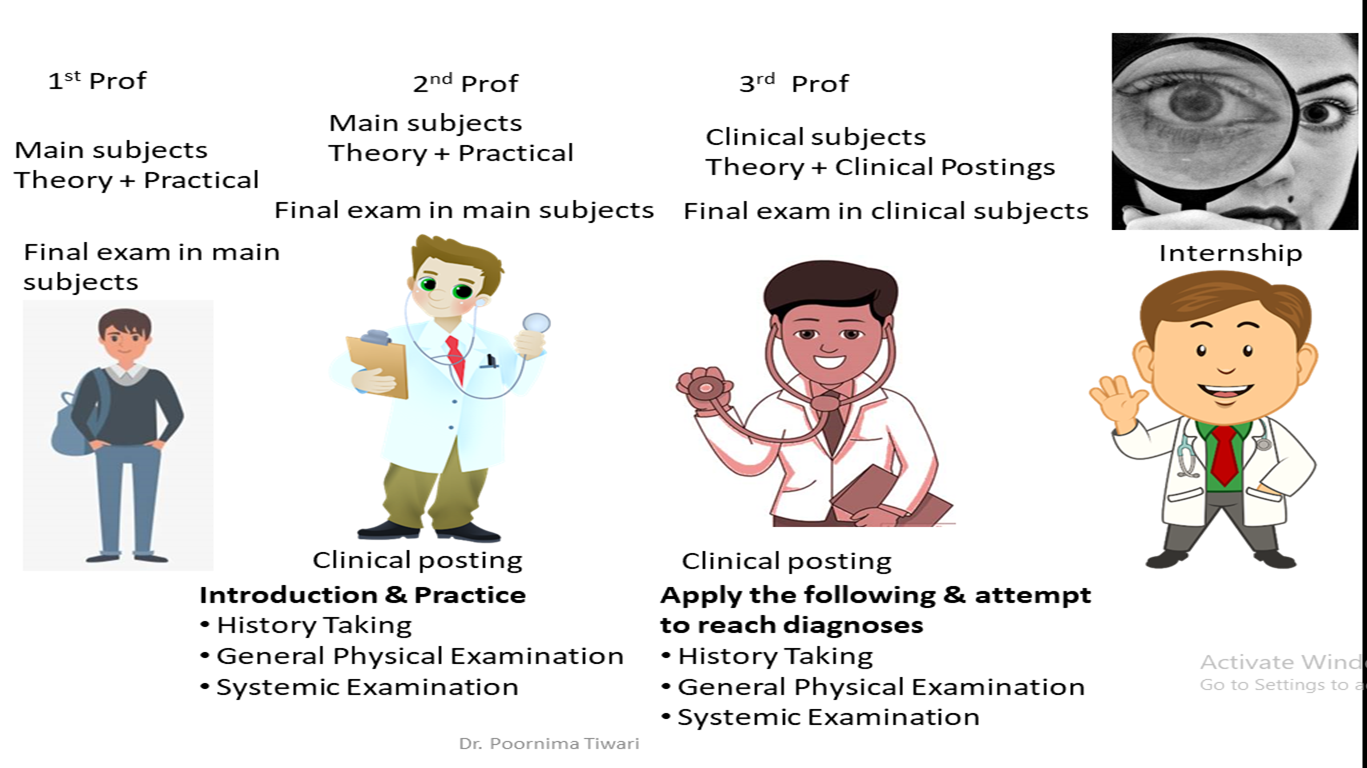 Stages in MBBS course