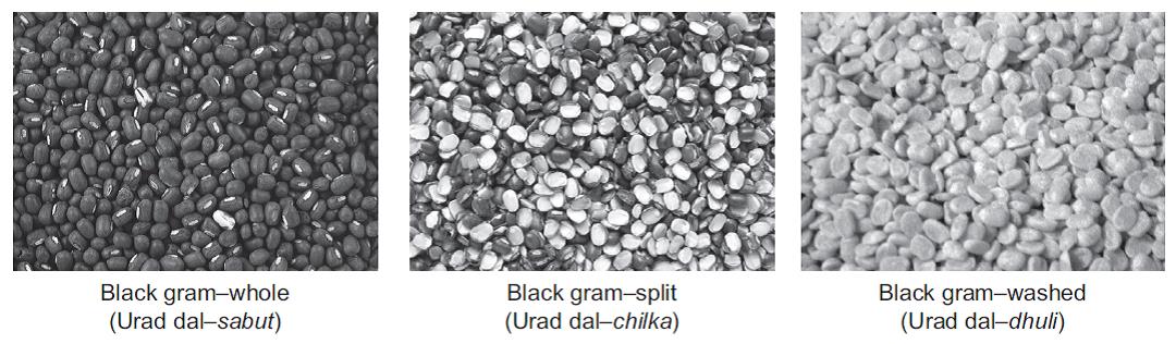 Urad dal nutrition