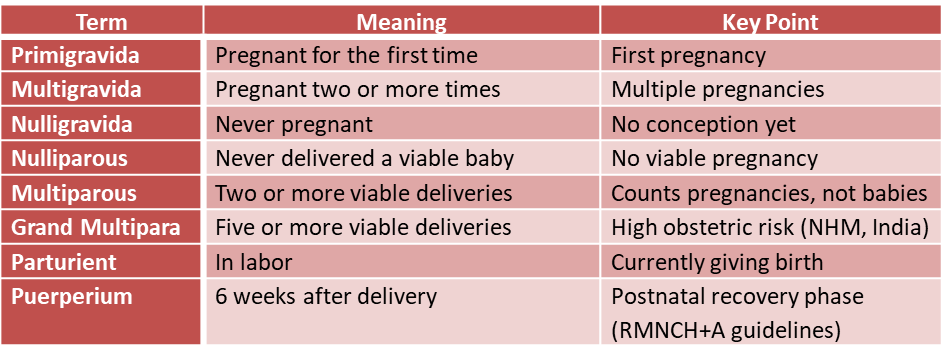 ANC Terms Explained